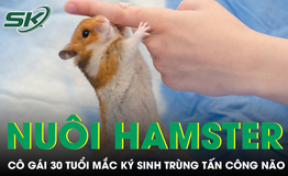 Nuôi chuột hamster, cô gái 30 tuổi mắc ký sinh trùng tấn công não