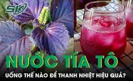 Uống nước tía tô mùa nắng nóng thế nào để thanh nhiệt hiệu quả 