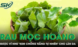 Loại rau mọc hoang đầy đường được ví như 'kem chống nắng tự nhiên’ cho làn da