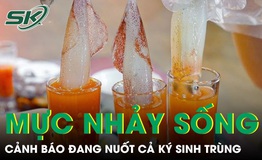 Món 'mực nhảy sống' sốt mạng xã hội, chuyên gia cảnh báo đang nuốt cả ký sinh trùng 