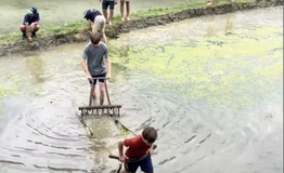 Hài hước cảnh khách Tây lội ruộng, ‘kéo cày thay trâu’ trên ruộng bậc thang ở Lào Cai, dân mạng thích thú: ‘Du lịch thế này mới đáng nhớ chứ!’