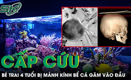 Bé trai 4 tuổi bị mảnh kính bể cá găm vào đầu