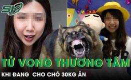 Bị chó tấn công khi đang cho ăn, người phụ nữ 33 tuổi tử vong thương tâm