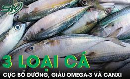 3 loại cá giá rẻ bán đầy chợ Việt nhưng bổ hơn nhiều người tưởng, giàu omega-3 và canxi