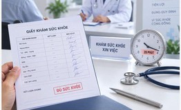 Bộ Y tế vào cuộc vụ khám sức khỏe xin việc chỉ 20 phút có 9 chữ ký