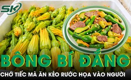 Bông bí đắng gắt chớ tiếc mà ăn kẻo rước họa vào người 