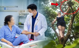 Trèo cây hái quả, người phụ nữ ngã chấn thương gan, suýt mất mạng
