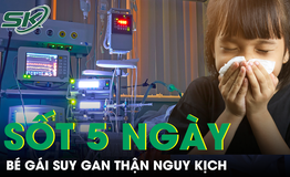 Sốt 5 ngày mới nhập viện, bé gái suy gan thận nguy kịch
