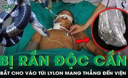 Bị rắn cạp nia cắn, người đàn ông bắt cho vào túi nylon mang thẳng đến viện