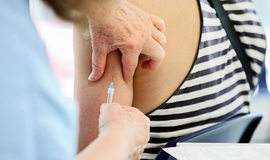 Ti&#234;m vaccine ph&#242;ng dại c&#243; hại cho sức khỏe kh&#244;ng?