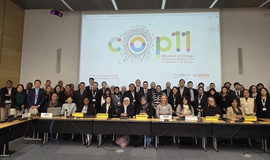 COP11 khẳng định ưu ti&#234;n bảo vệ giới trẻ trước &#39;nạn dịch&#39; thuốc l&#225; mới