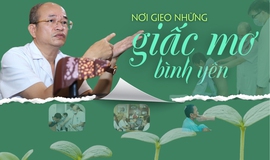 Nơi gieo những giấc mơ b&#236;nh y&#234;n