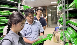 Bộ Y tế lập 15 tổ kiểm tra về dược, mỹ phẩm, y dược cổ truyền, sữa, thực phẩm, thiết bị y tế