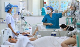 Ch&#237;nh phủ giao loạt nhiệm vụ để triển khai hiệu quả Nghị quyết 72 của Bộ Ch&#237;nh trị