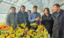 Đoàn công tác Bộ Y tế khảo sát mô hình phát triển dược liệu tại Trung Quốc, thúc đẩy hợp tác đầu tư, nghiên cứu và chuyển giao công nghệ