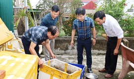 Hà Tĩnh ghi nhận ổ dịch sốt xuất huyết với 9 ca mắc