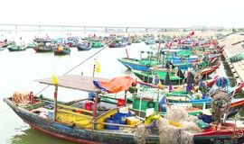 Rút ngắn chuyến biển, ngư dân Hà Tĩnh háo hức chờ ngày bỏ phiếu