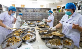 Bộ Y tế yêu cầu siết quản lý y, dược cổ truyền, ngăn hàng giả, thuốc kém chất lượng, hành nghề trái phép