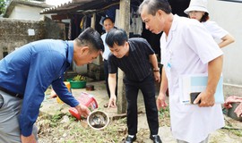 Mưa nắng thất thường, nguy cơ sốt xuất huyết lan rộng