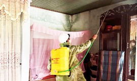 Xuất hiện thêm ổ dịch sốt xuất huyết ở Hà Tĩnh