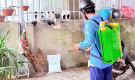 Phát hiện ổ dịch sốt xuất huyết tại Hà Tĩnh