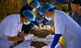 Hà Tĩnh hoàn thành lấy mẫu ADN 774 mộ liệt sĩ