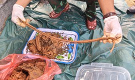 Nhiều di vật được tìm thấy tại mộ tập thể ở xã Thu Bồn