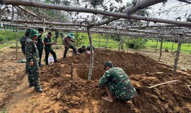 Phát hiện hài cốt liệt sĩ trong vườn hoa màu ở phường Hội An