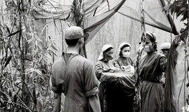 Giữ mạch sống giữa rừng xanh