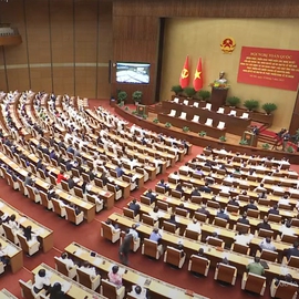 Nghị quyết và hành động thực chất