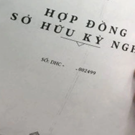 Hợp đồng kỳ nghỉ và những tổn thương không thể khỏa lấp của người già