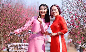 Cô gái Hà thành xúng xính áo dài 'đọ sắc' bên đào Nhật Tân