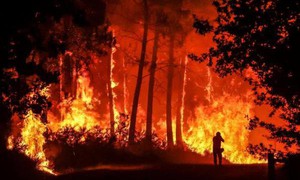 Châu Âu gửi quân tiếp viện đến Pháp chữa cháy rừng ở Gironde