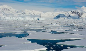 Nghiên cứu mẫu khí quyển Nam cực: Nồng độ CO2 tăng 1,5 lần trong 256 năm