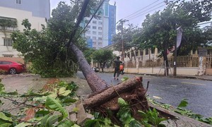 Bão số 4-Noru đổ bộ vào miền Trung, gây nhiều thiệt hại