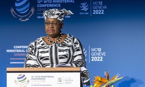 Tổng Giám đốc WTO: Kinh tế thế giới đang trên đà suy thoái