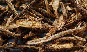 Bài thuốc bổ dưỡng cho phụ nữ sau sinh