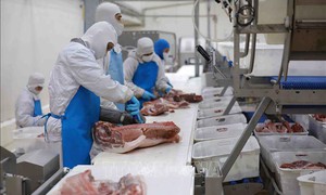 CPI quý I/2023 ước tăng 4,2 - 4,3% so với cùng kỳ năm ngoái