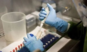 Phát hiện virus gây bệnh bại liệt trong mẫu môi trường ở Pakistan