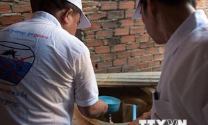 Campuchia phát hiện ca mắc virus Zika đầu tiên sau 7 năm