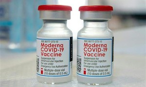 Hàn Quốc cấp phép sử dụng khẩn cấp vaccine COVID-19 cập nhật của Moderna