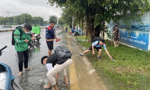 [Ảnh] Người Hà Nội mang rổ, vợt ra đường bắt cá sau mưa