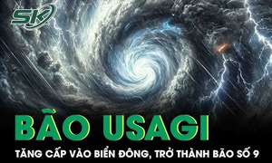 Bão Usagi tăng cấp đi vào Biển Đông, trở thành cơn bão số 9 trong hôm nay