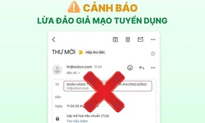 Bị lừa mất gần 2 tỷ đồng khi tuyển dụng nhân sự online vào ngân hàng