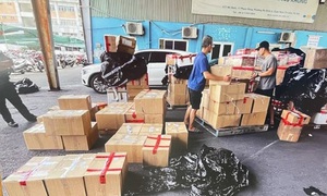 Thu giữ hàng trăm kg ma túy từ Đức về Việt Nam qua đường hàng không