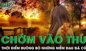 PODCAST: Chớm v&#224;o thu cũng l&#224; l&#250;c để bu&#244;ng bỏ những niềm đau đ&#227; cũ