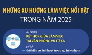 Những xu hướng làm việc nổi bật trong năm 2025