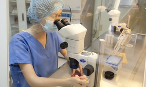 Những chính sách nổi bật có hiệu lực từ tháng 10/2025: Phụ nữ độc thân được quyền sinh con bằng IVF