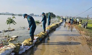 Các tuyến đê đã ngâm nước nhiều ngày, nguy cơ rất
cao tiếp tục xảy ra sự cố