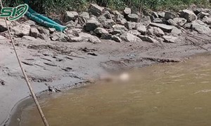 Phát hiện thi thể phụ nữ có hình xăm bông hoa ở chân cùng nhiều dấu vết lạ tại bãi biển